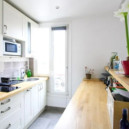 Beautiful And Bright Apartment With Wi-Fi Apartment Paris